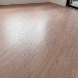 Camphor-Wood