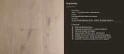 Chanterelle