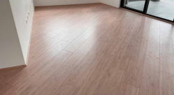 Camphor-Wood