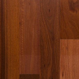 Jarrah